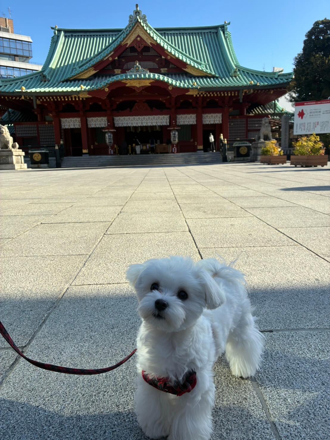 モコ