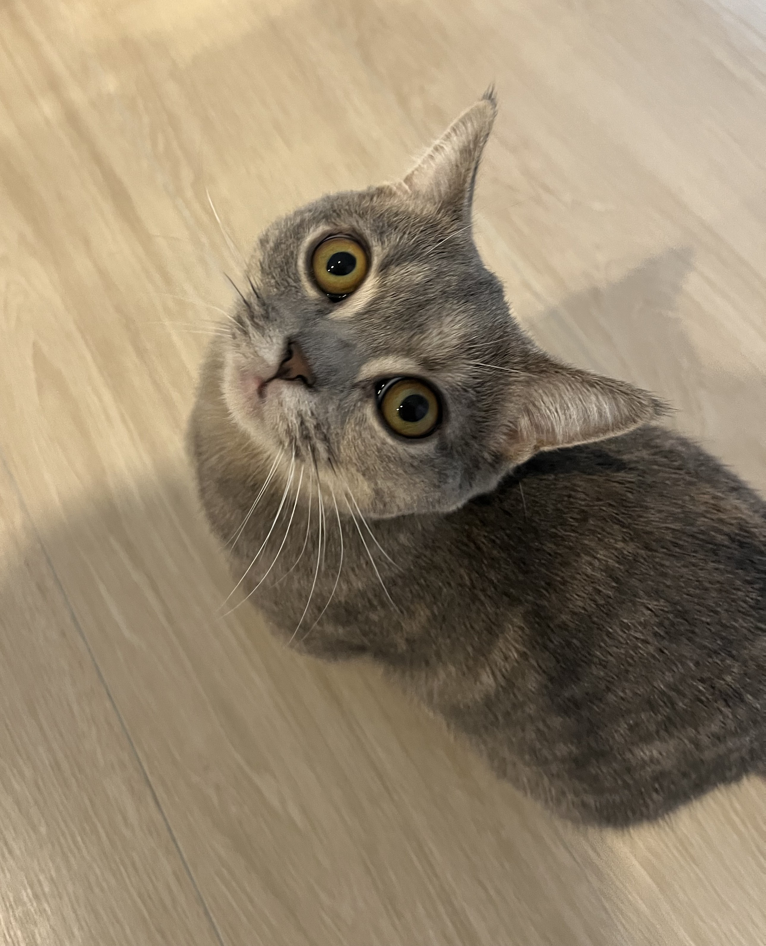 めお