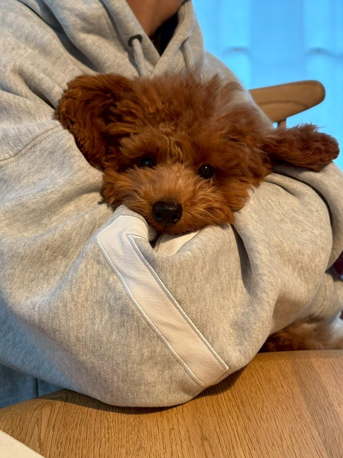 CHOCO