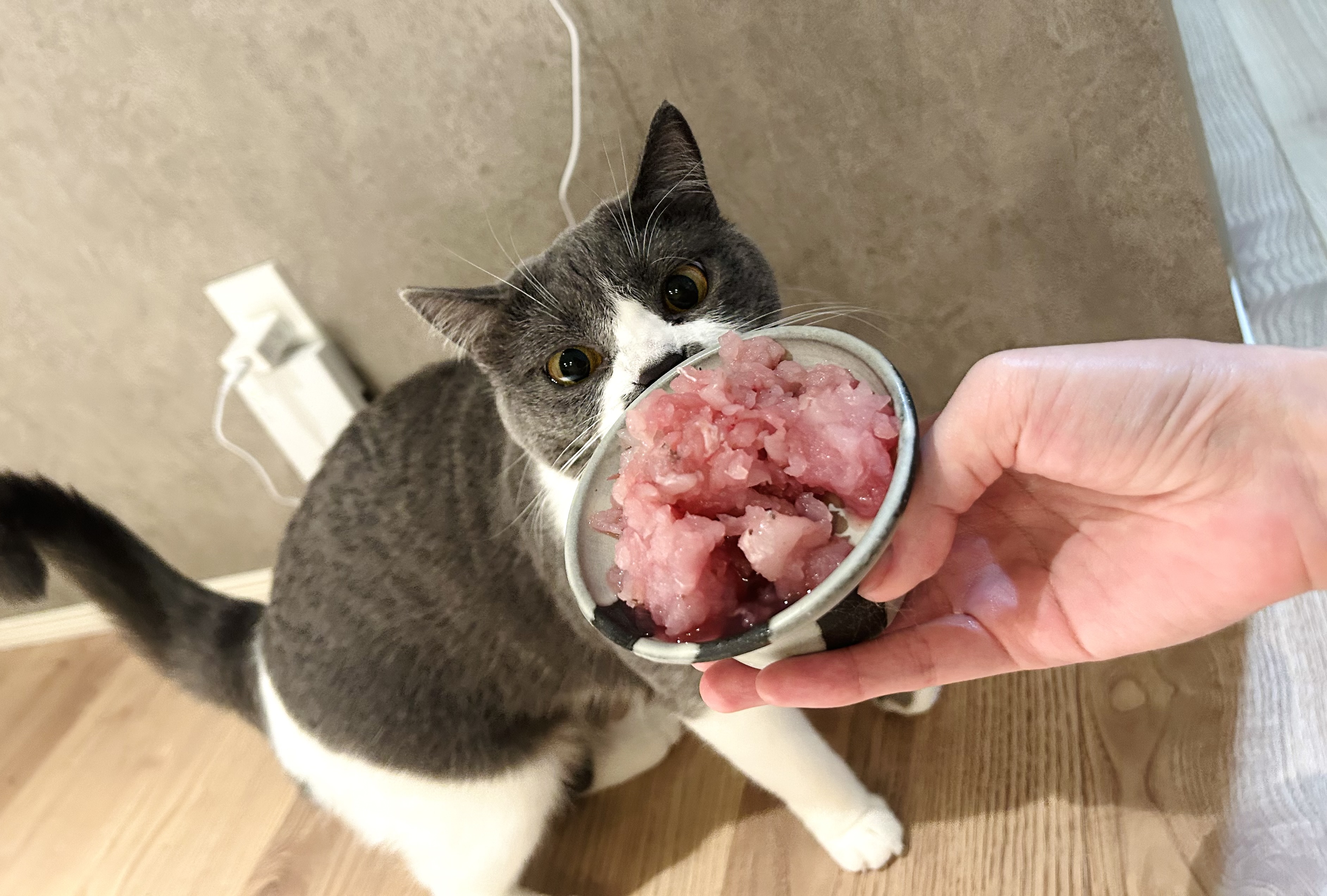 あんな