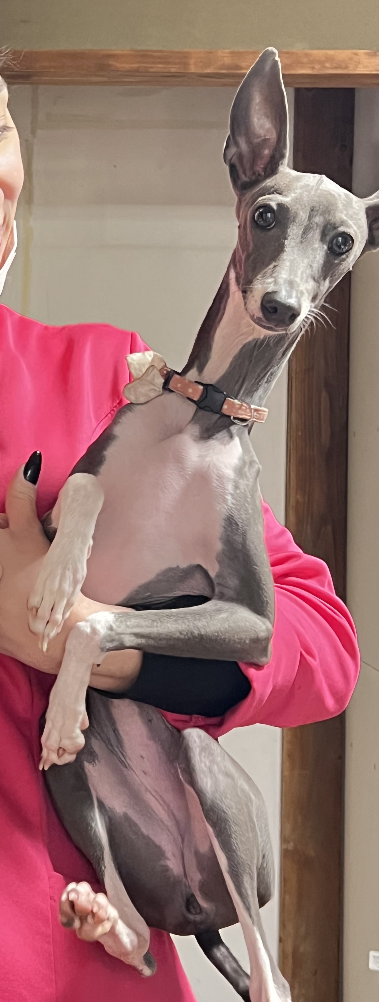 オリビア