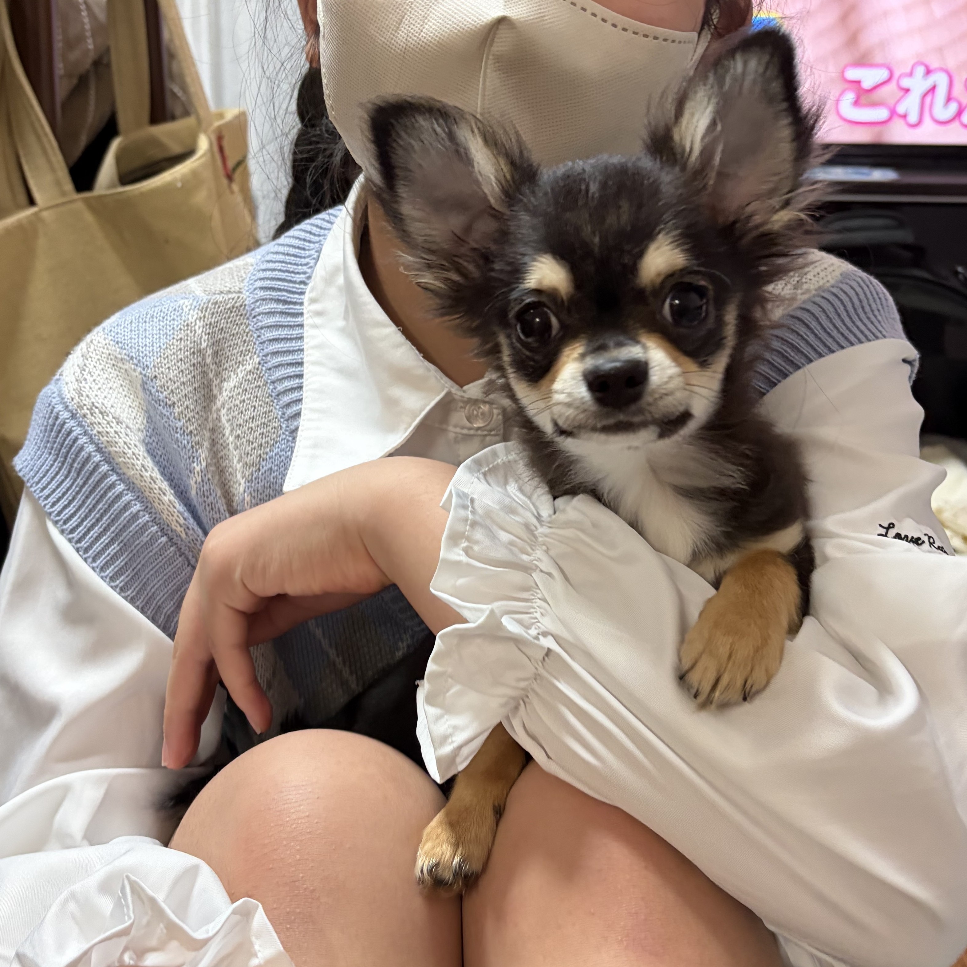 イヴ
