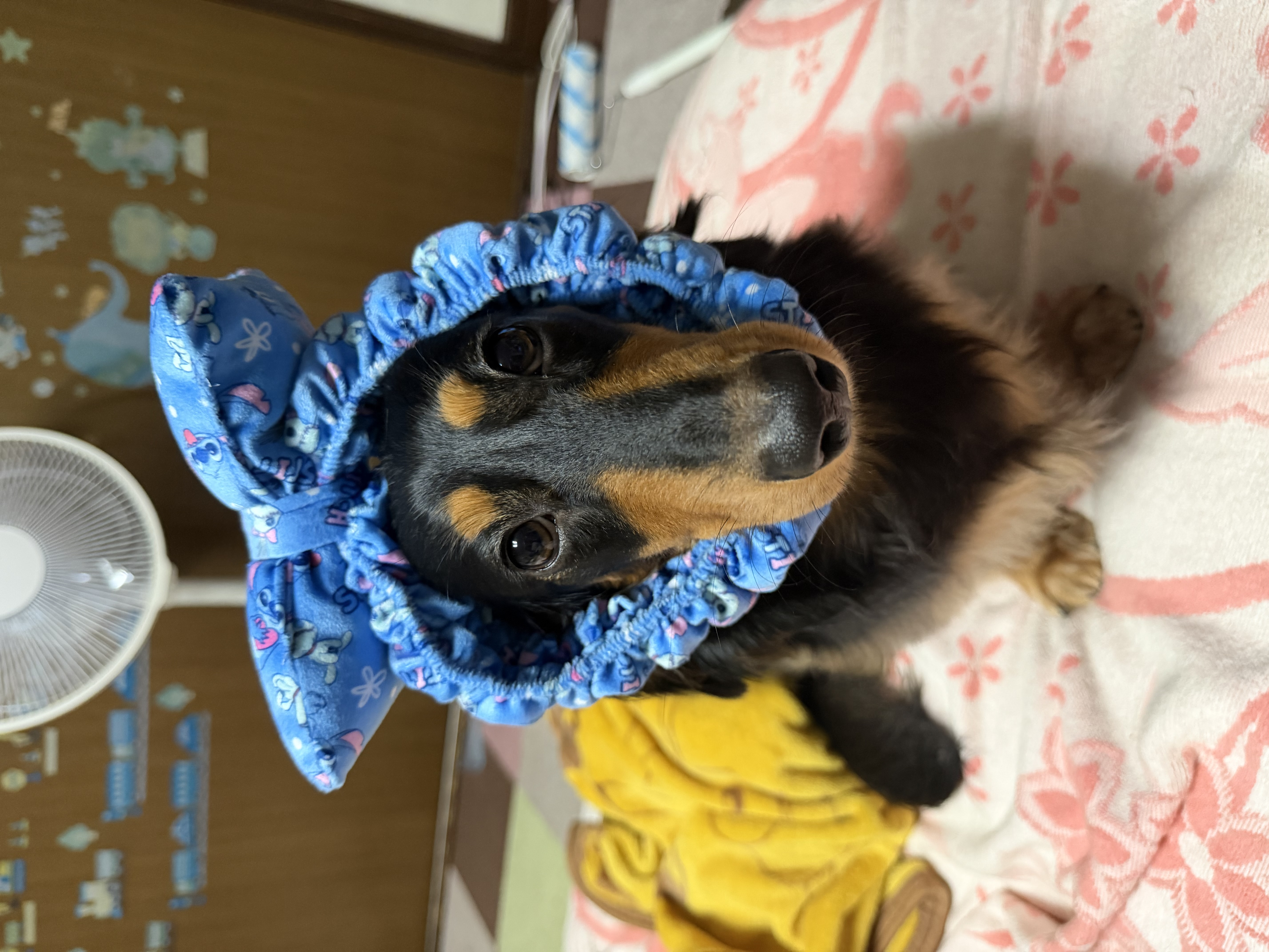ソラ