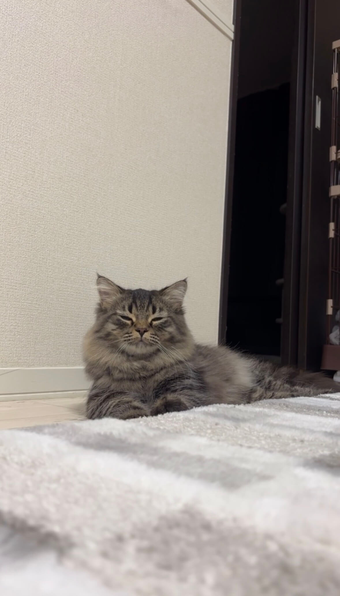 五郎