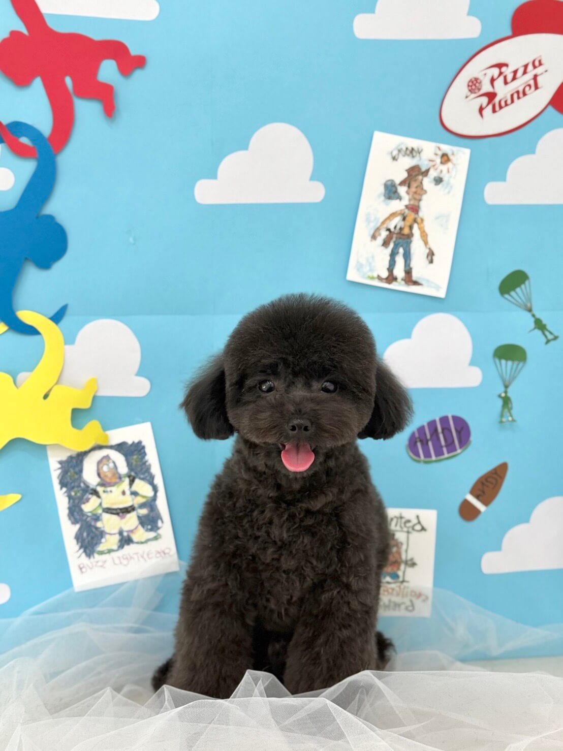 ポテ