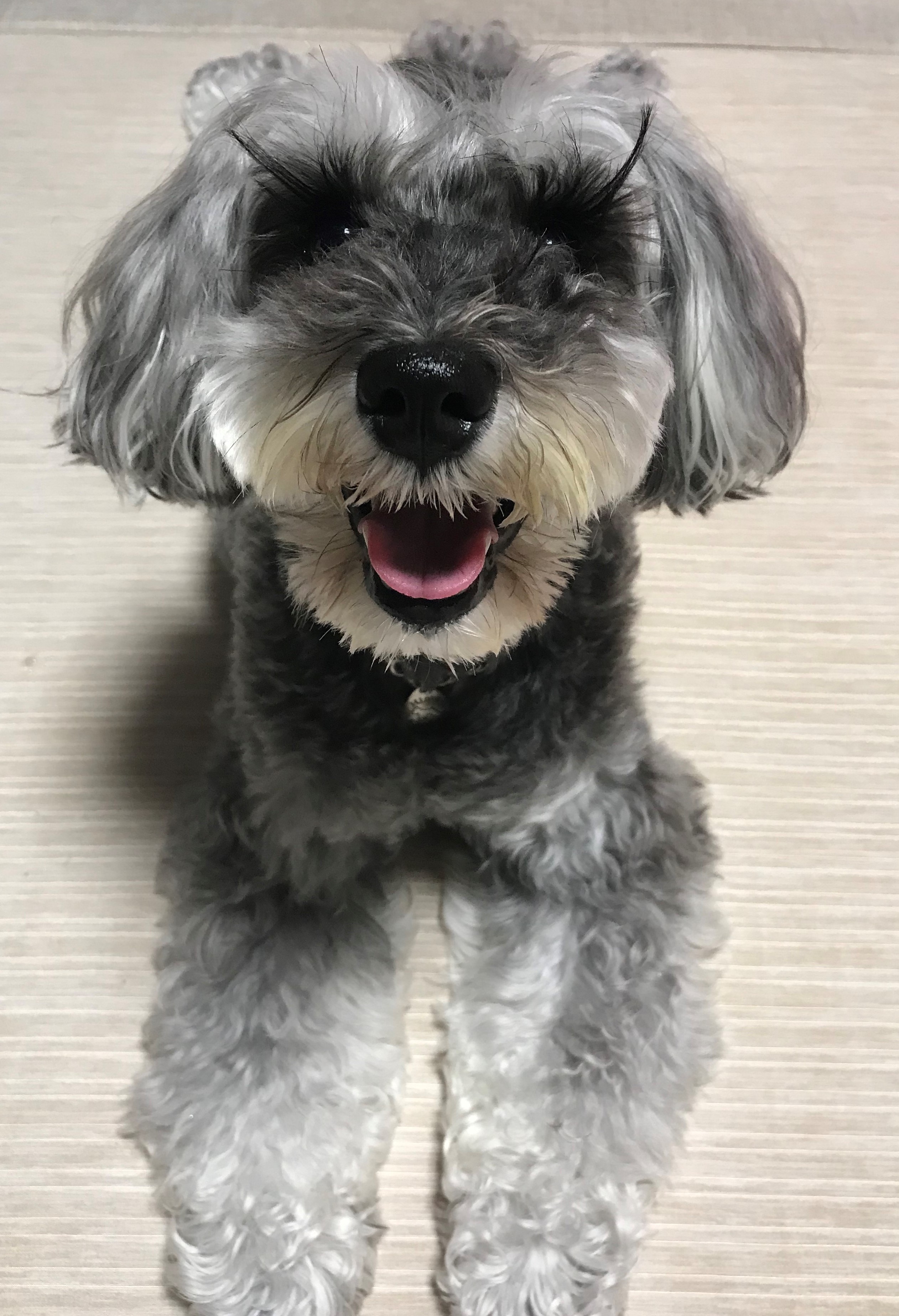 ひめ