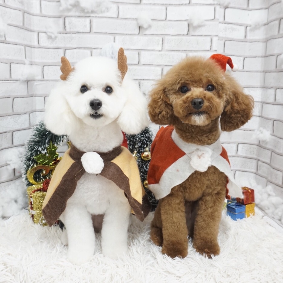 そらちゃん&まめ