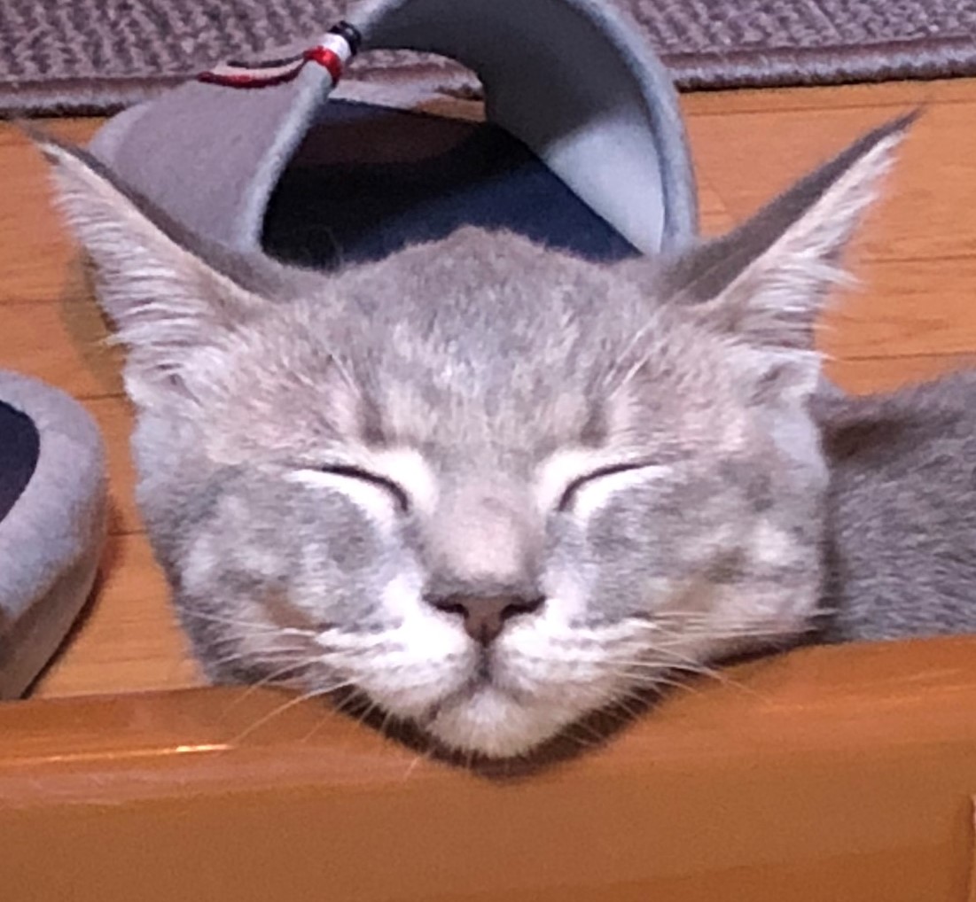 なると