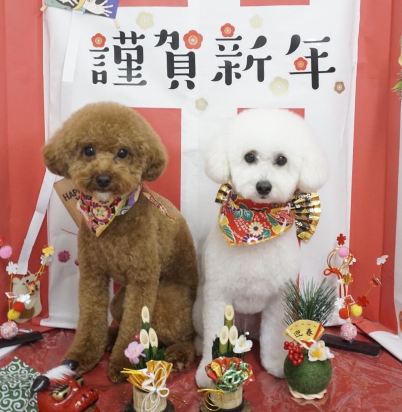 そらちゃん&まめ