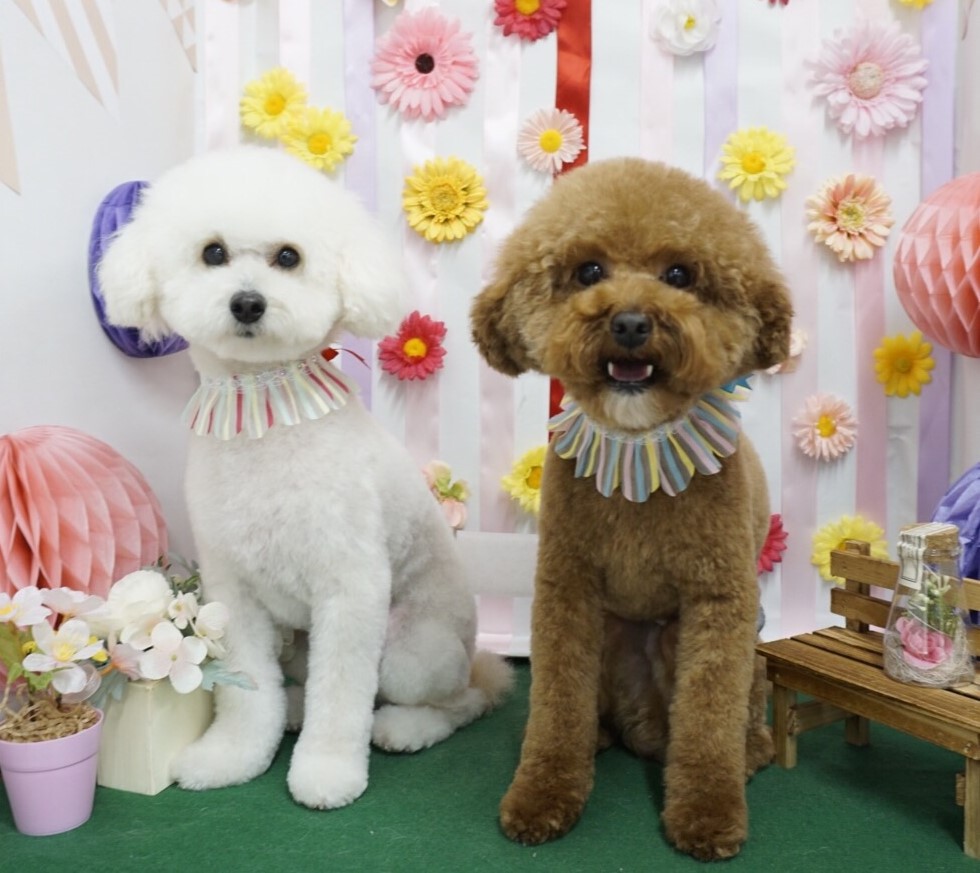 そらちゃん&まめ