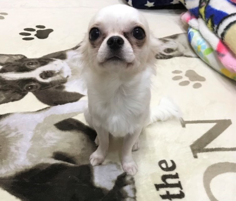 じん