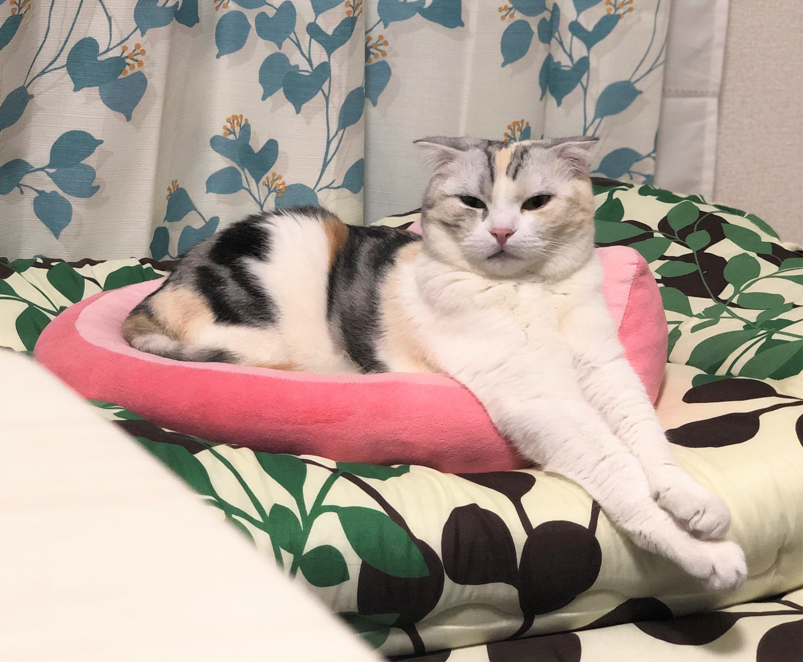 さら