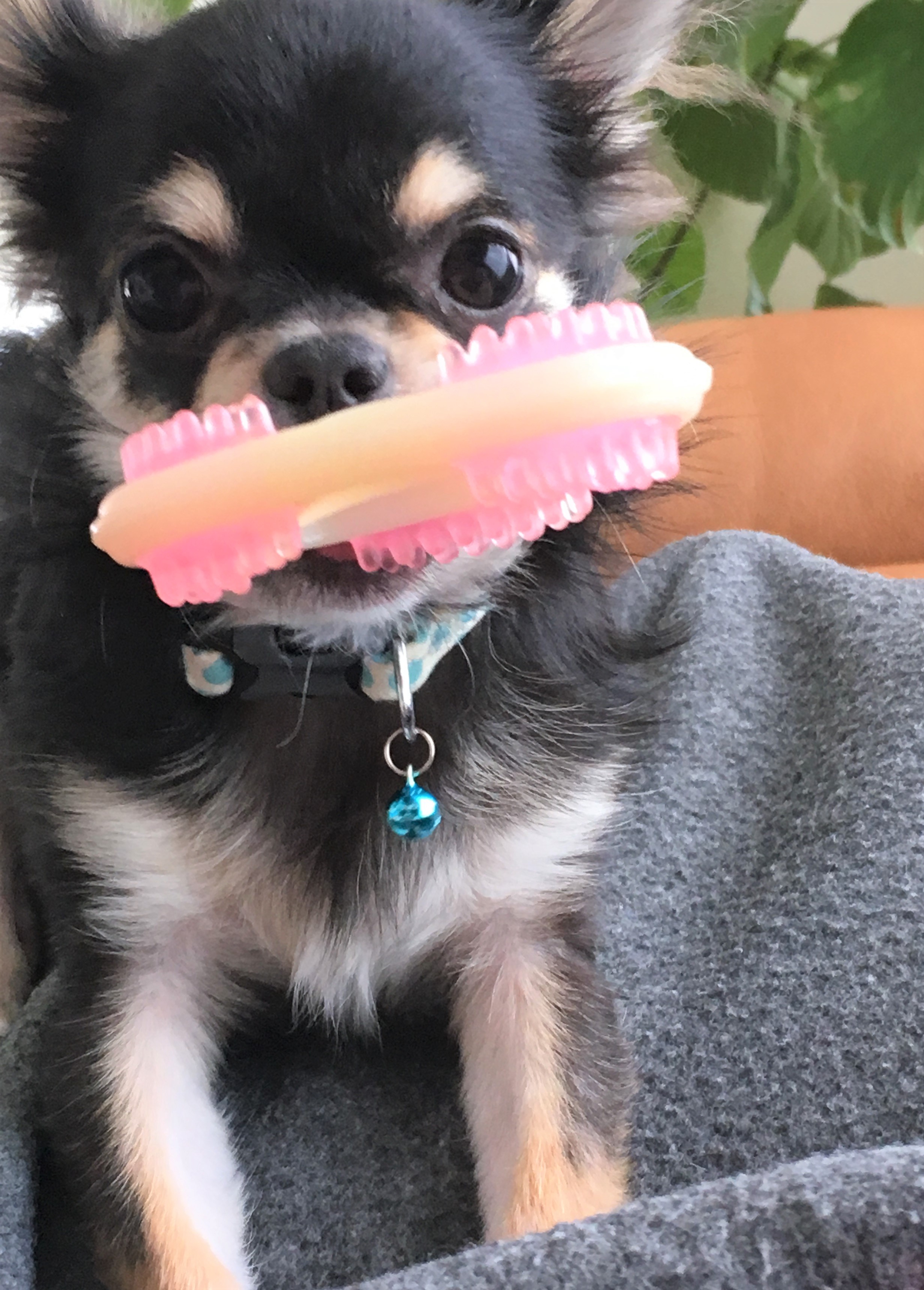 いより