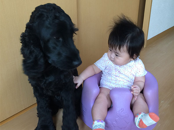 獅子丸