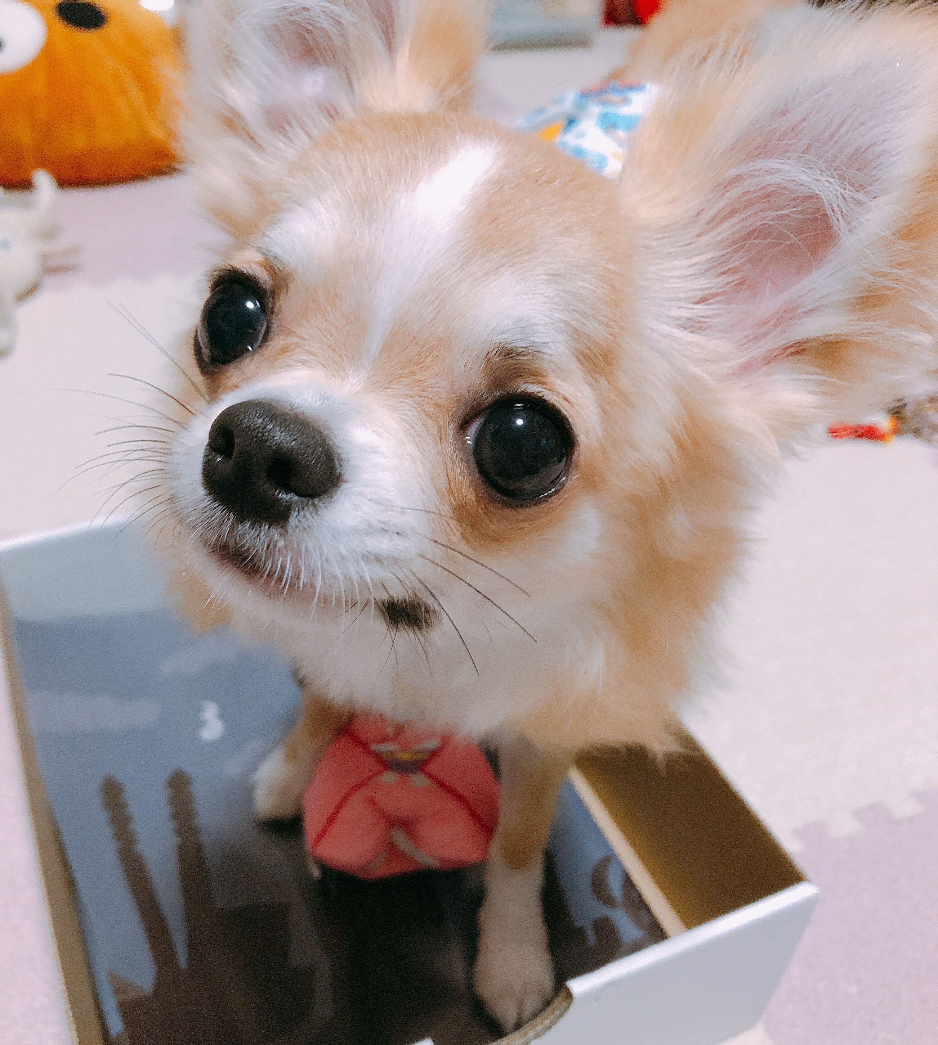 天