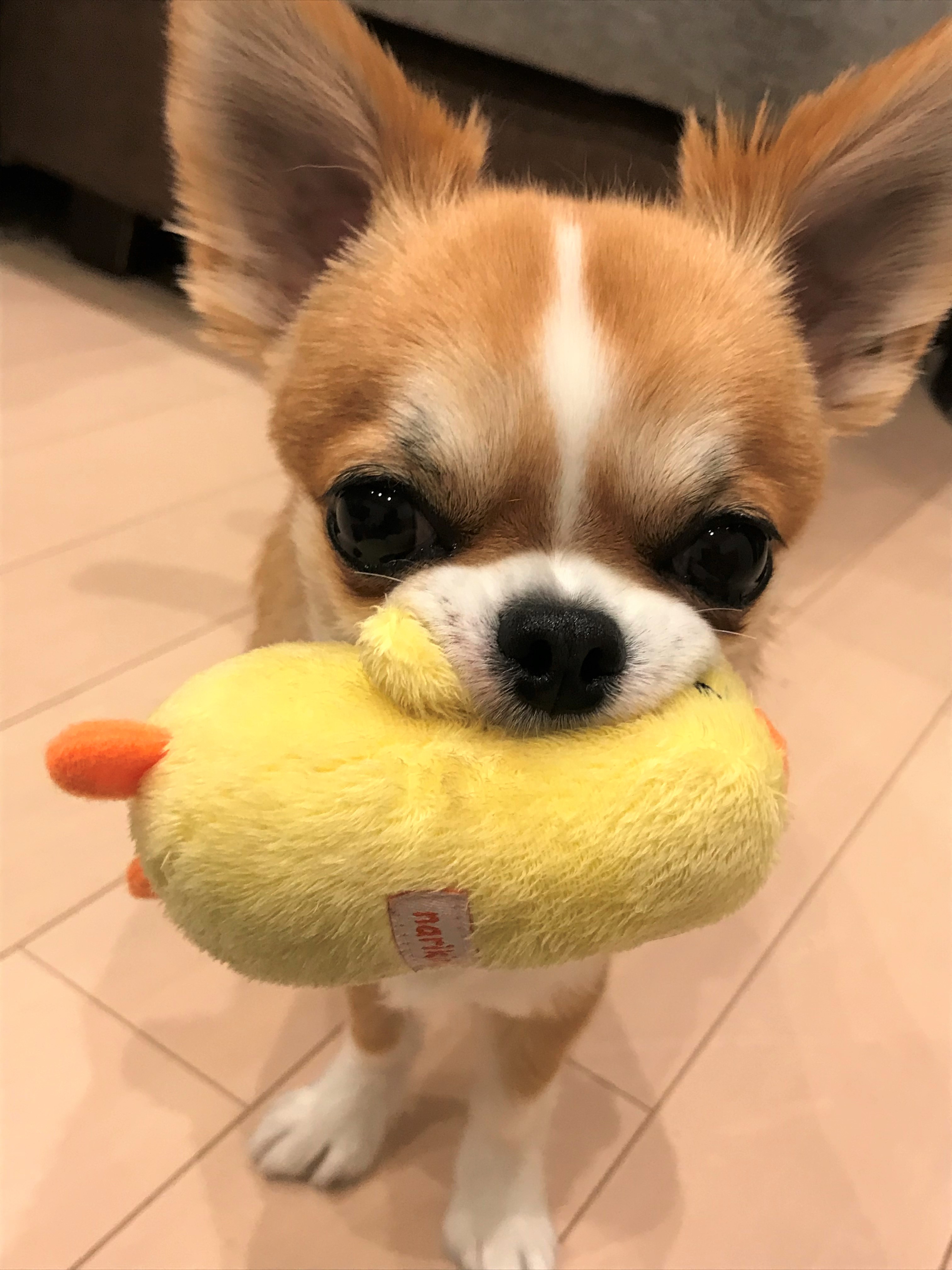 にこ
