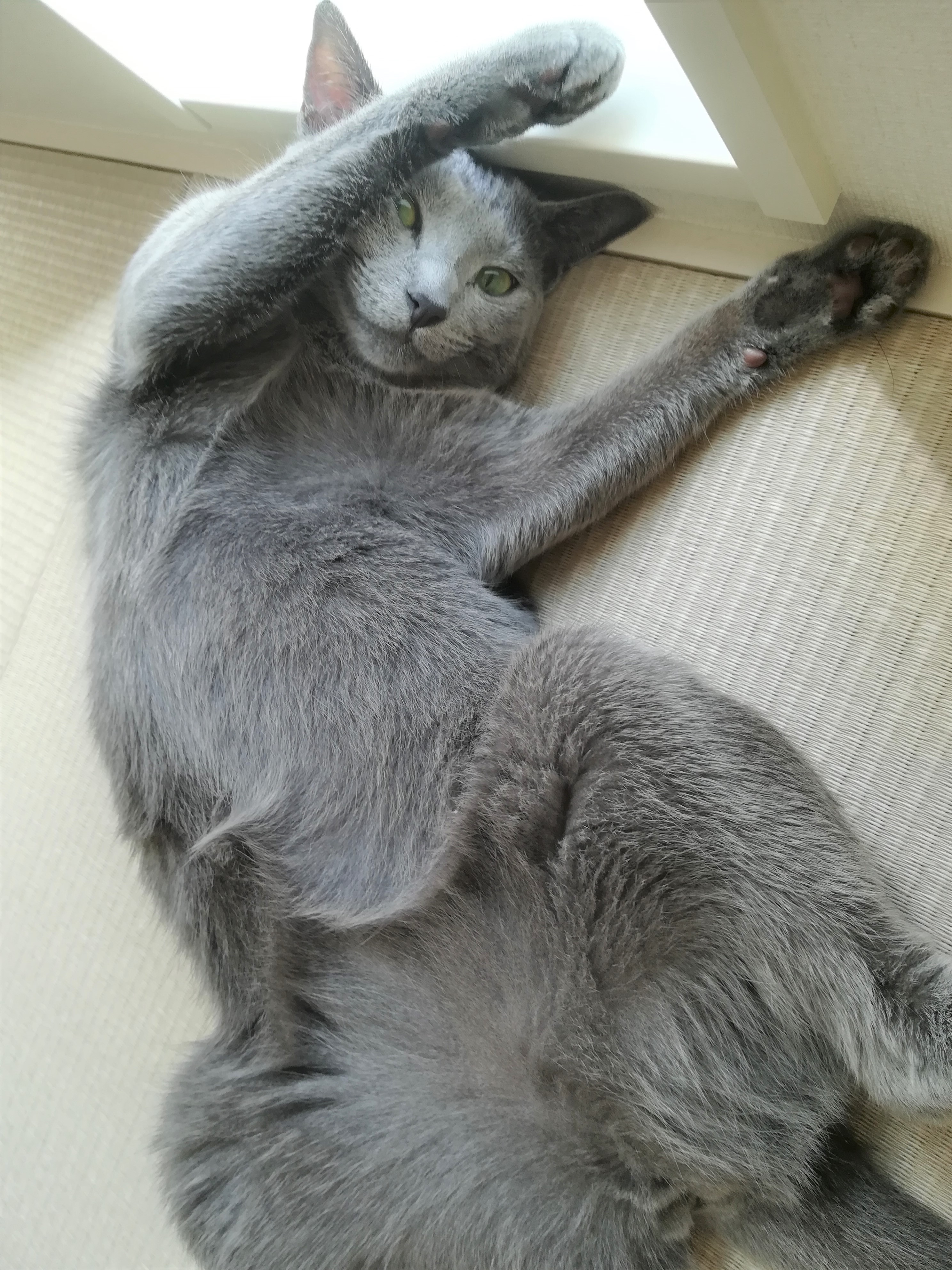 いろ