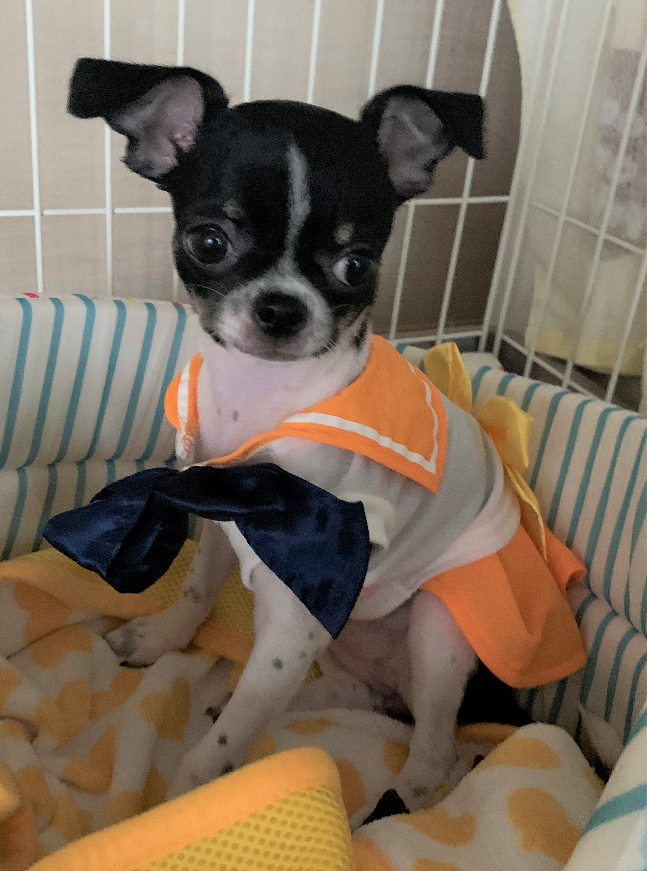 ムーン