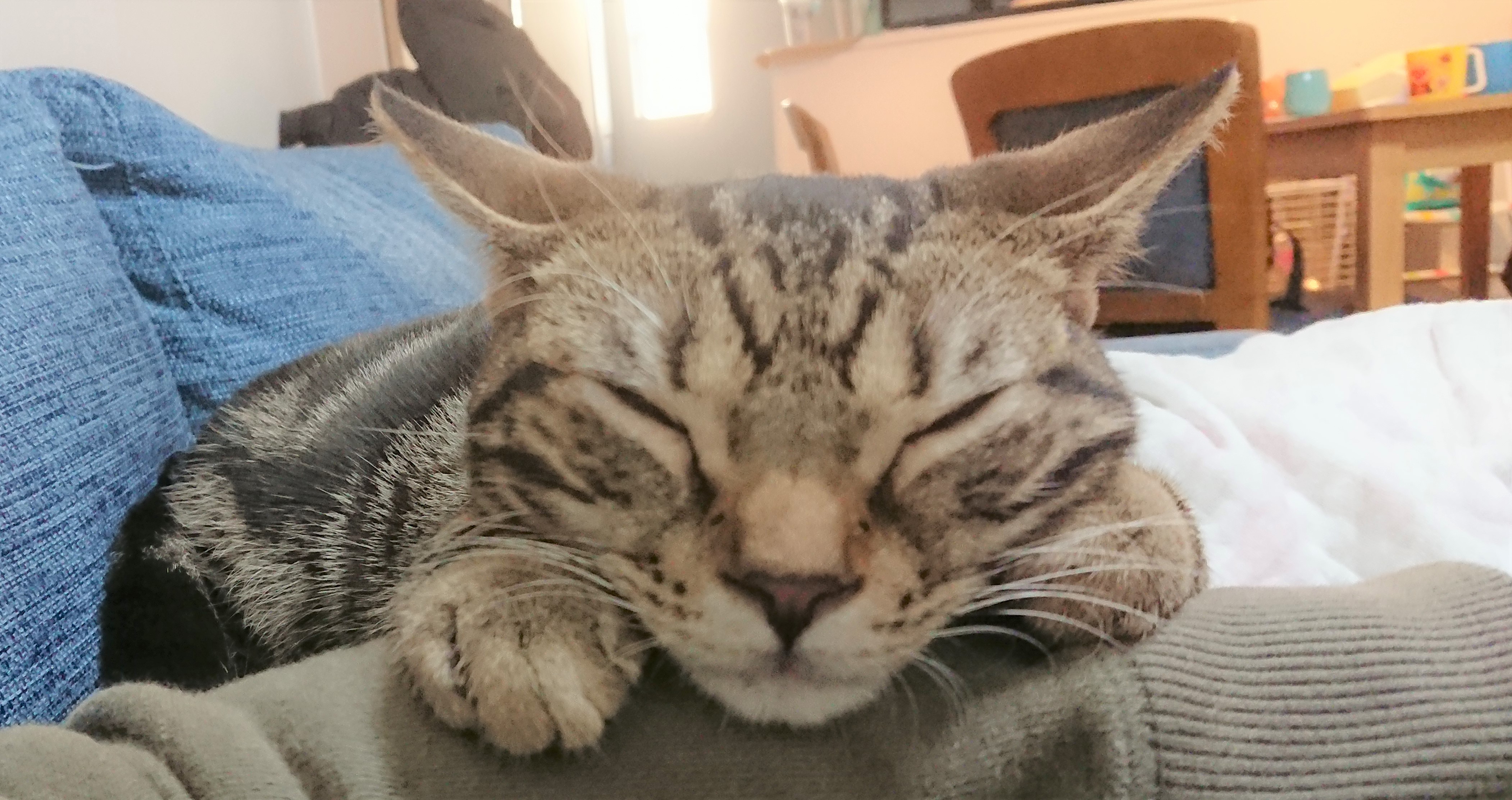 ルパン