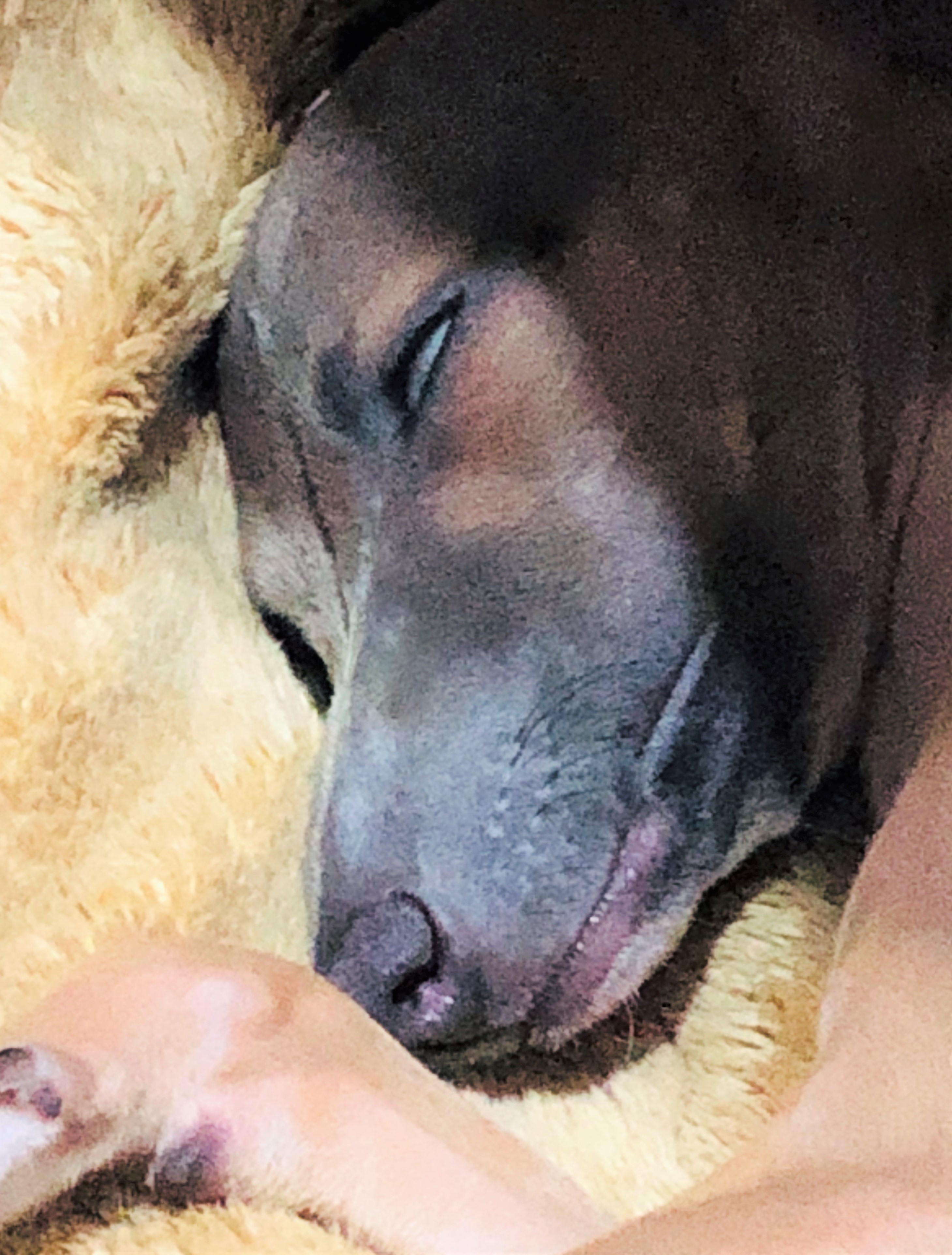 梅子