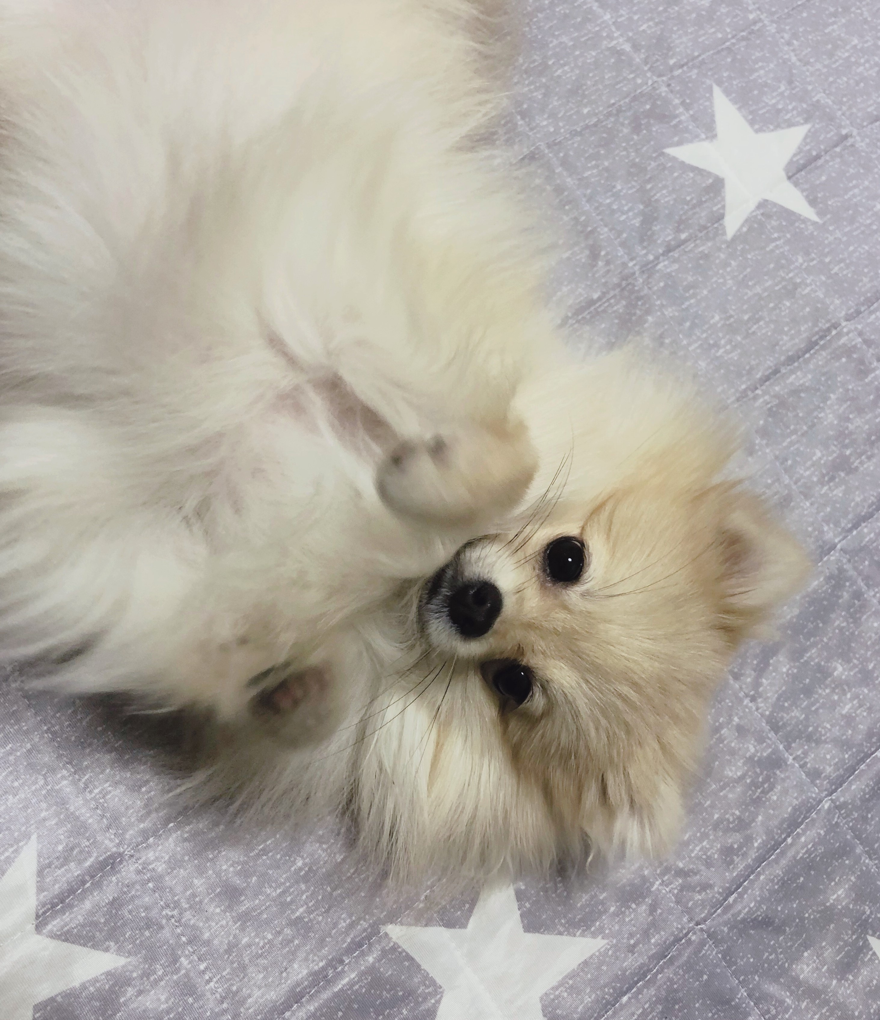 リム