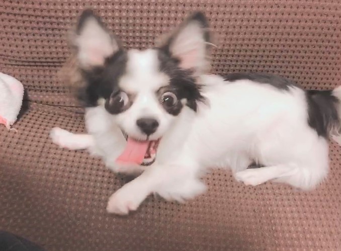ゆき
