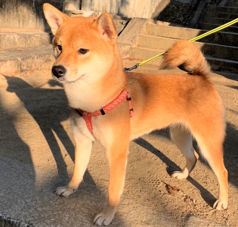 くう