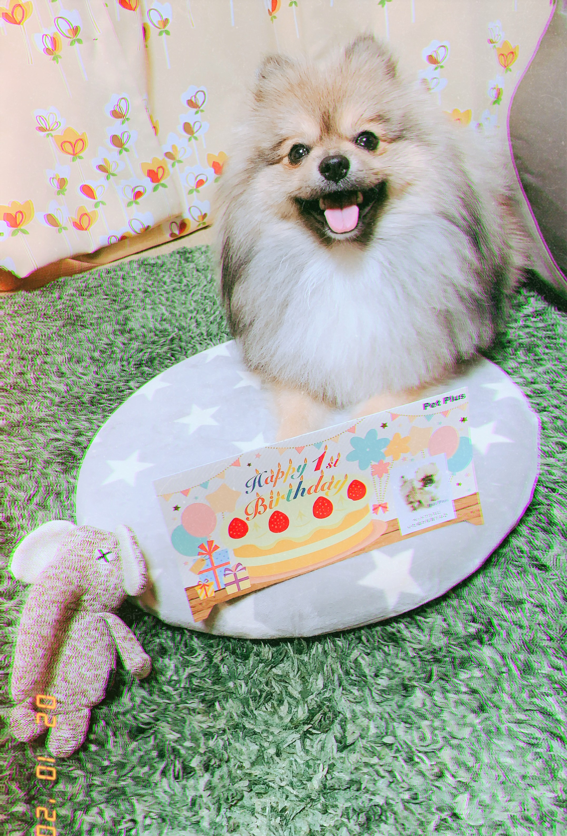 ポン太