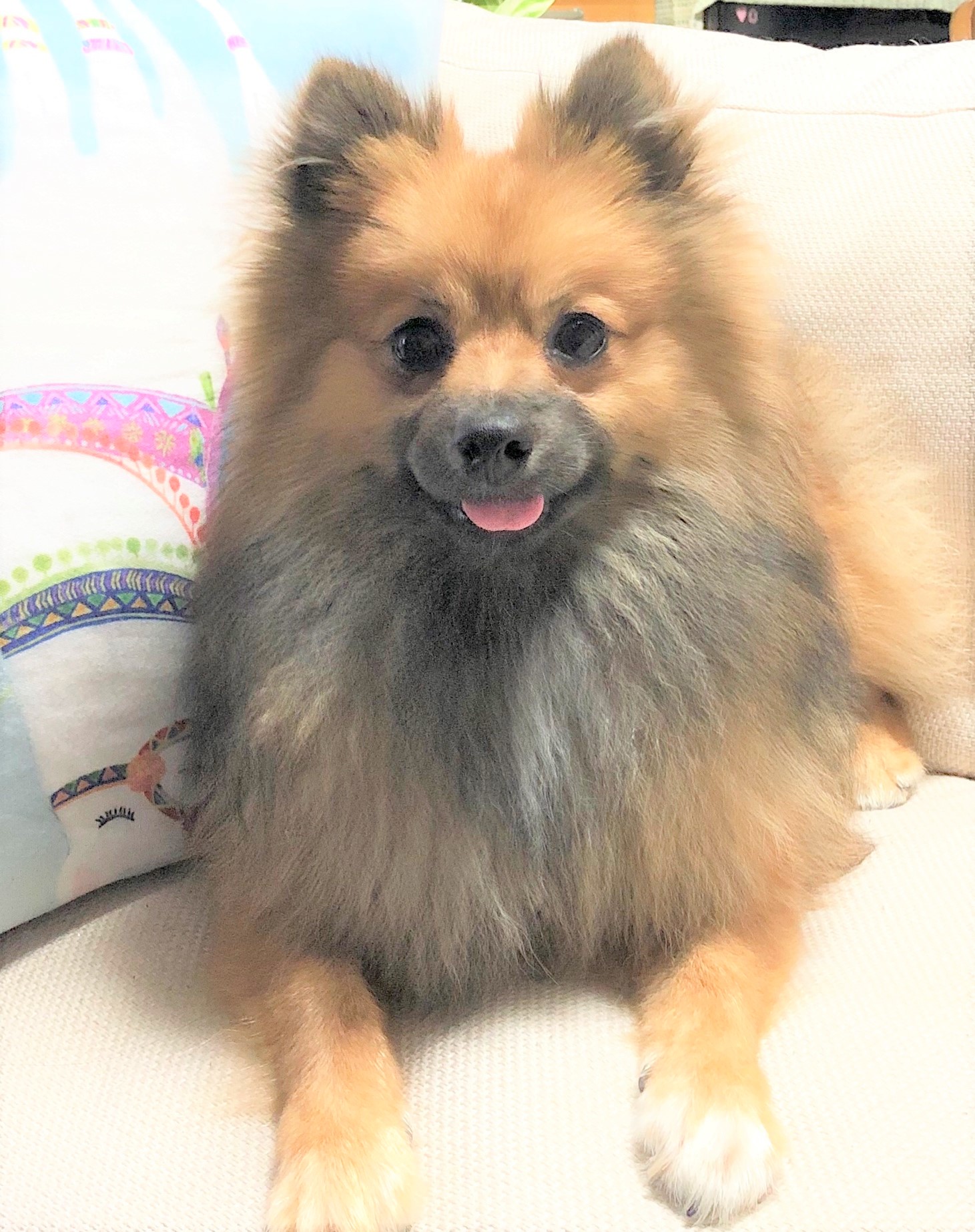 こたろう