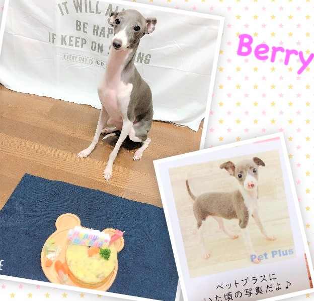 ベリー