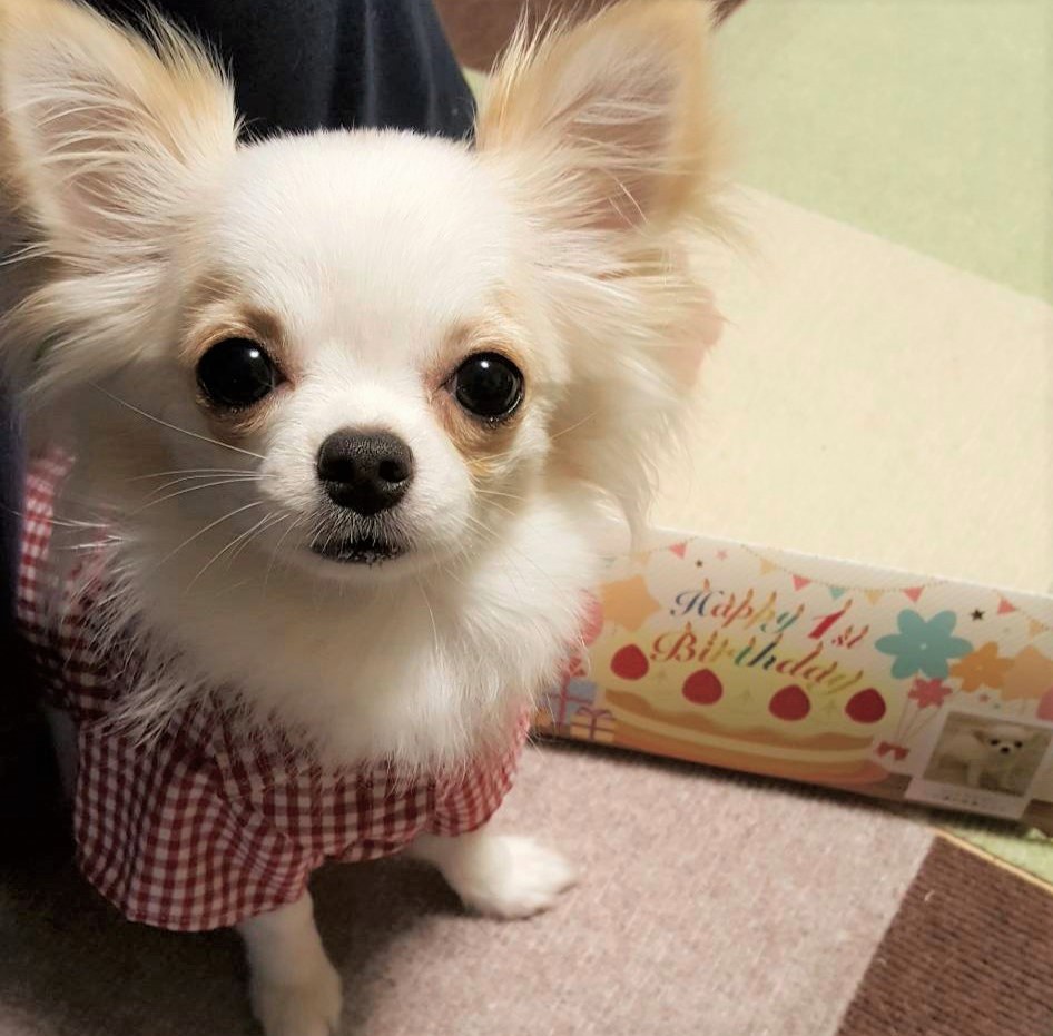 ちろ