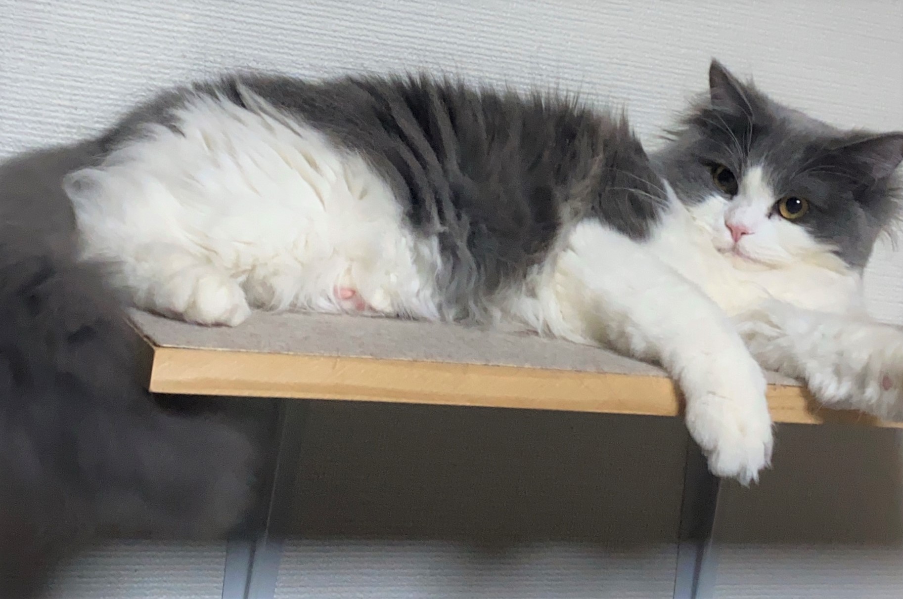 くう