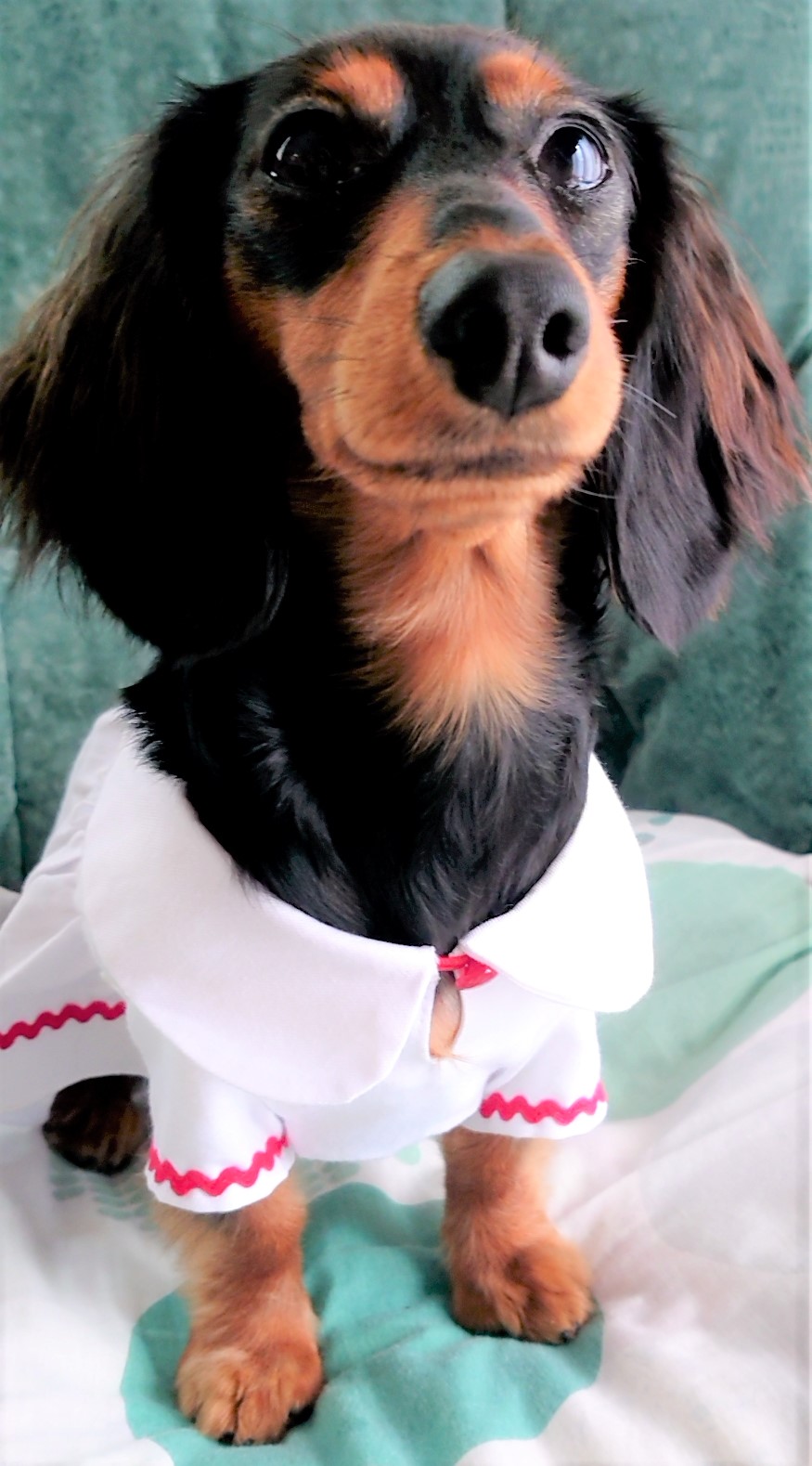 ニーナ