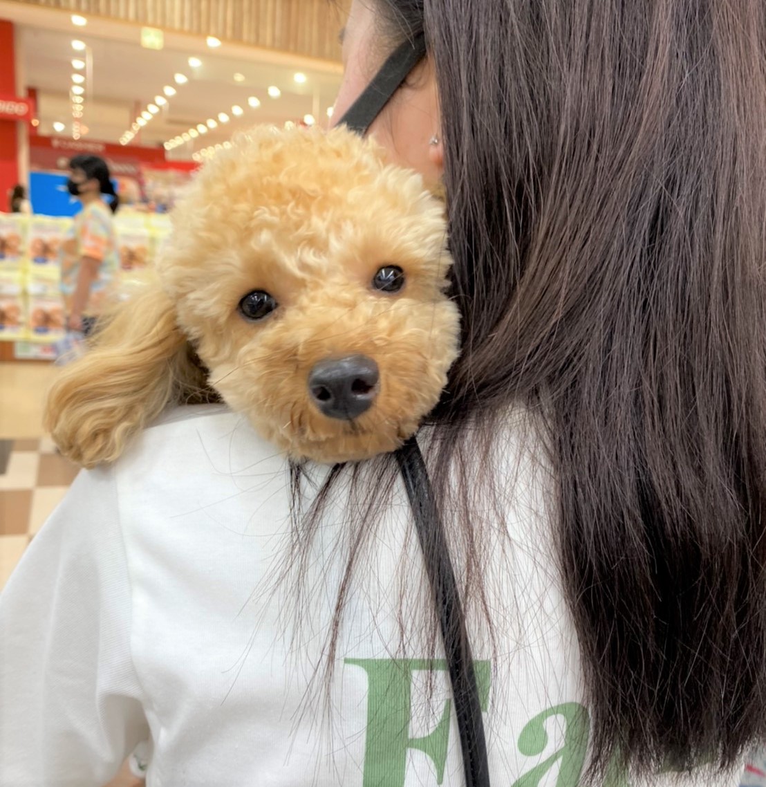 ベニ