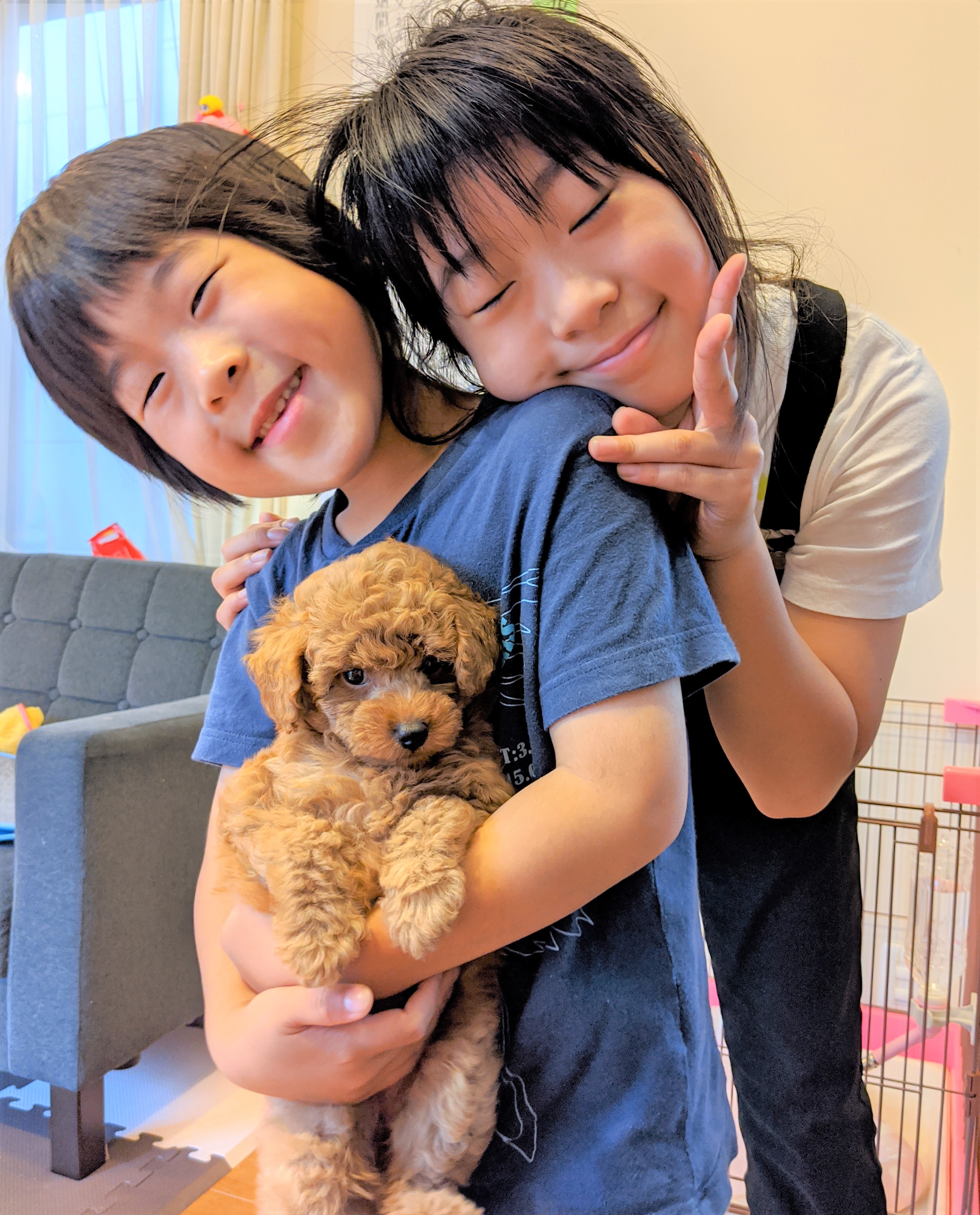 さくら