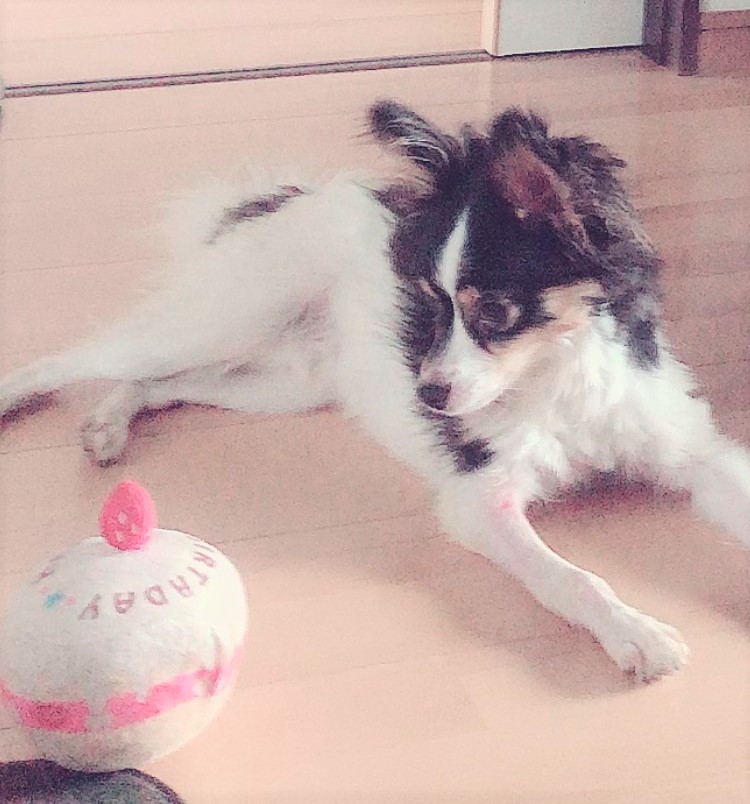 ラニ