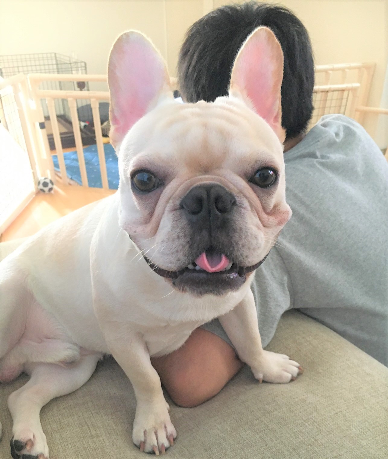 こたろう