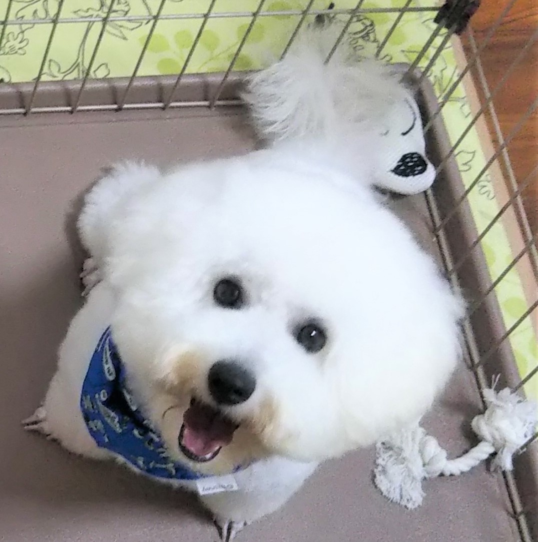 オーシャン