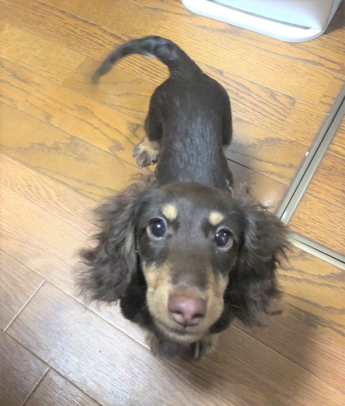 れお