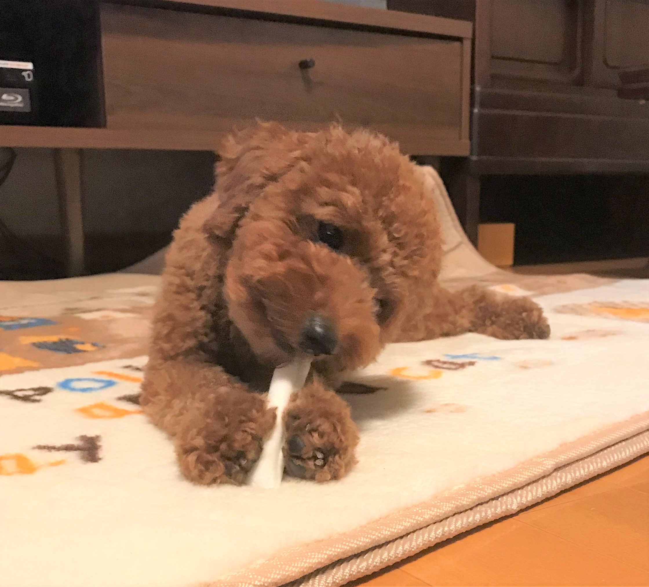 エマ