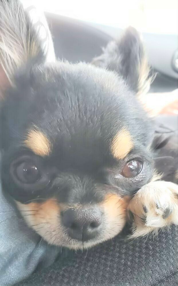 ここ