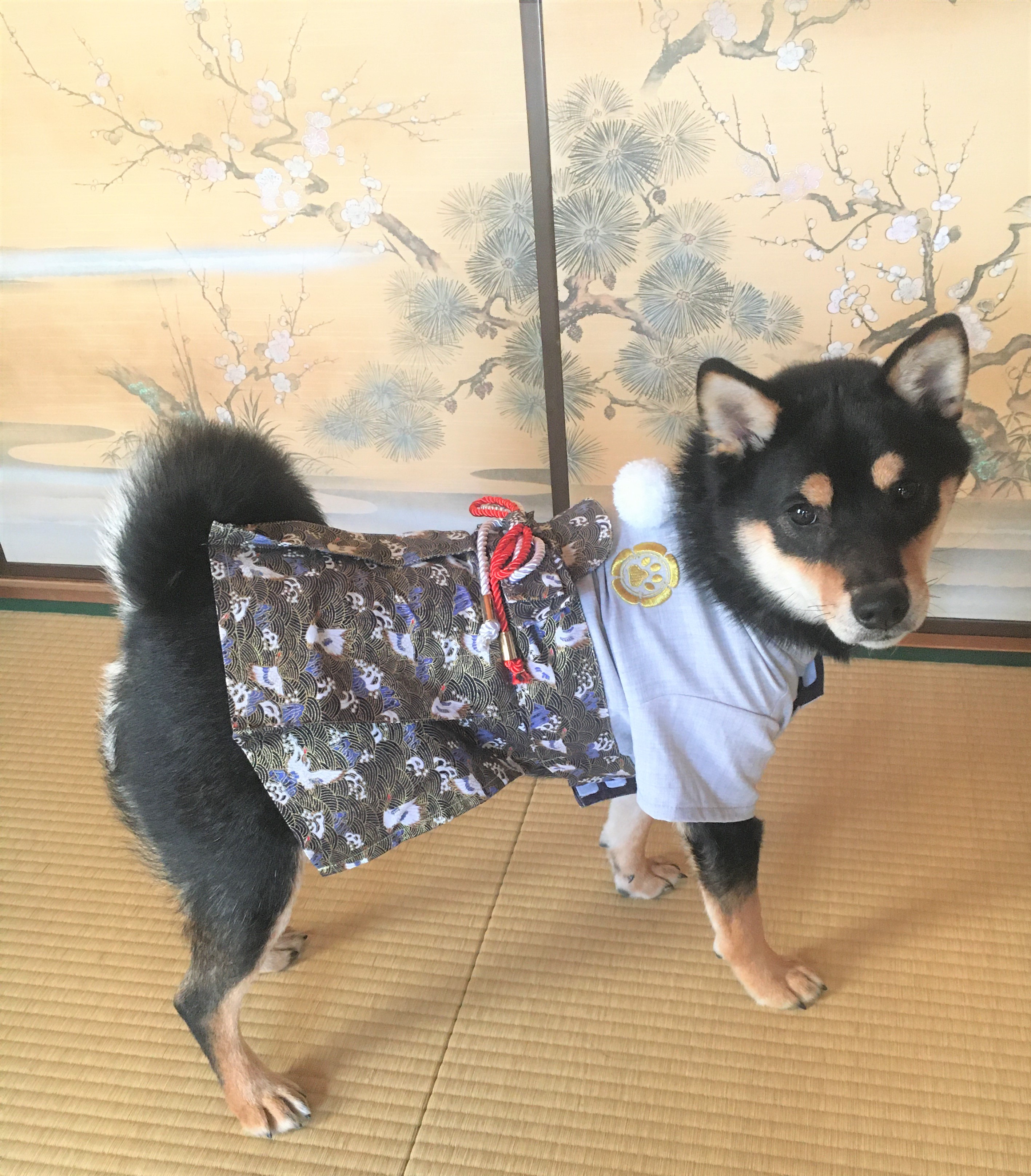 こつぶ