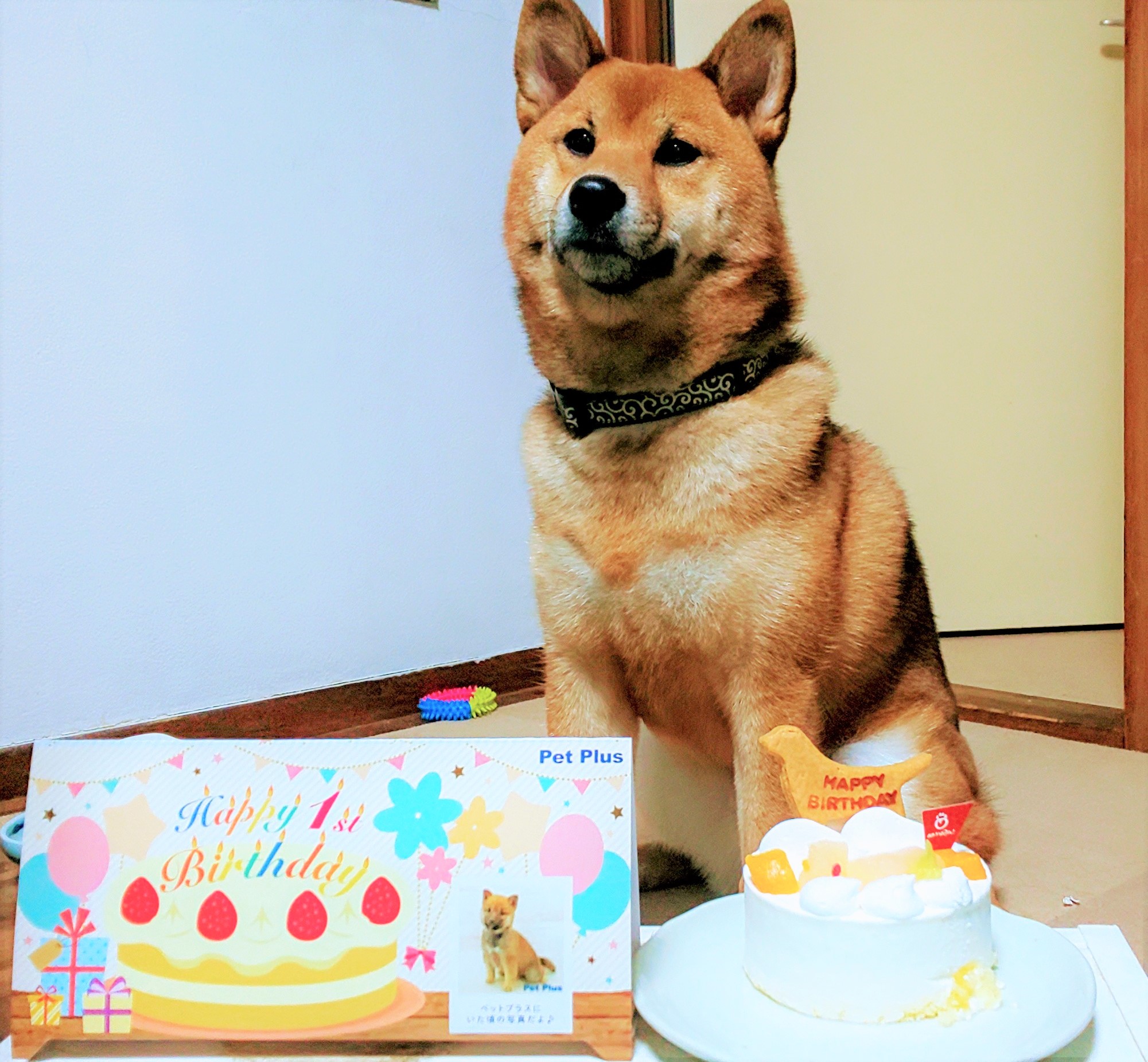 あさり