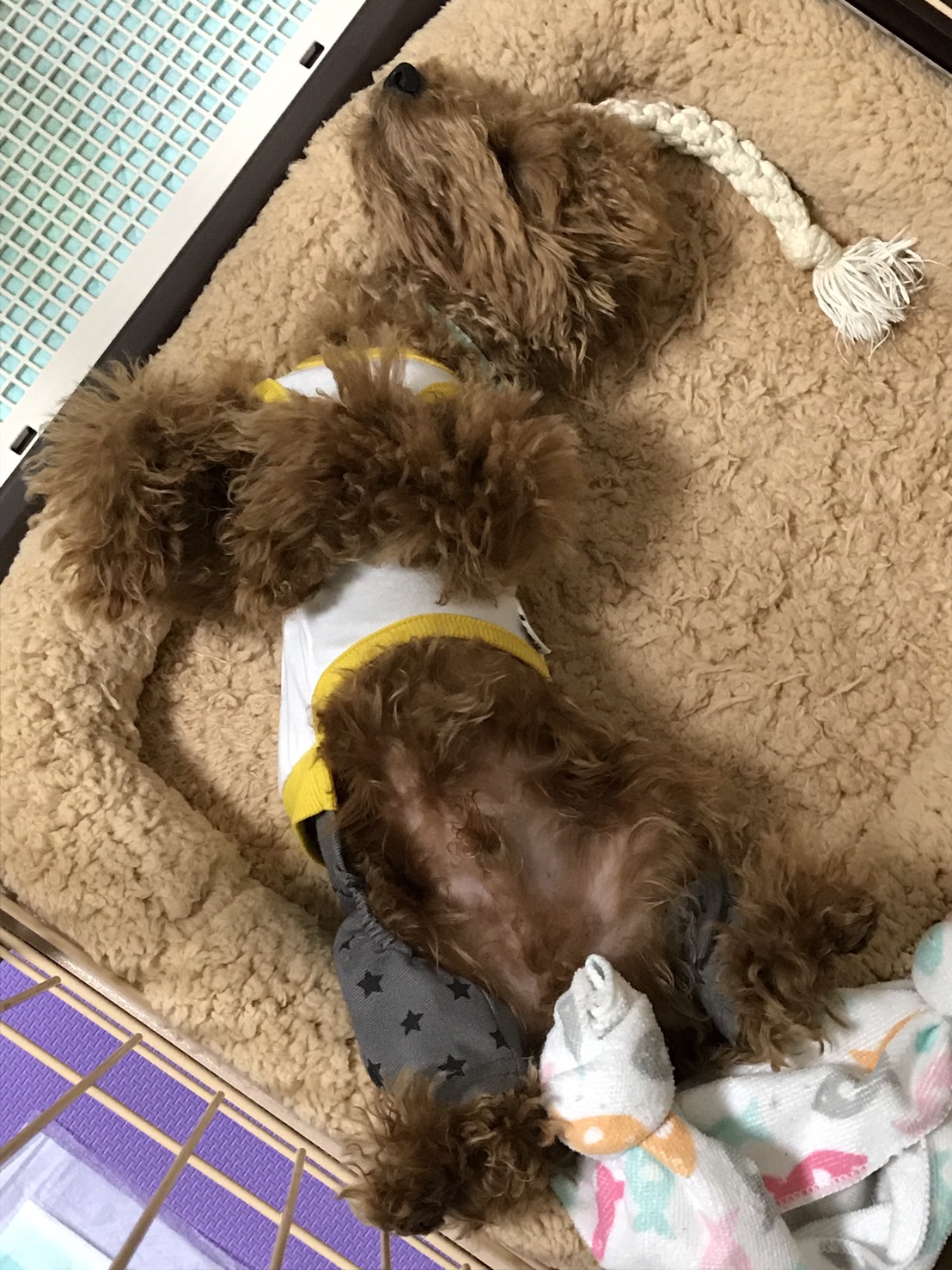 ちくわ