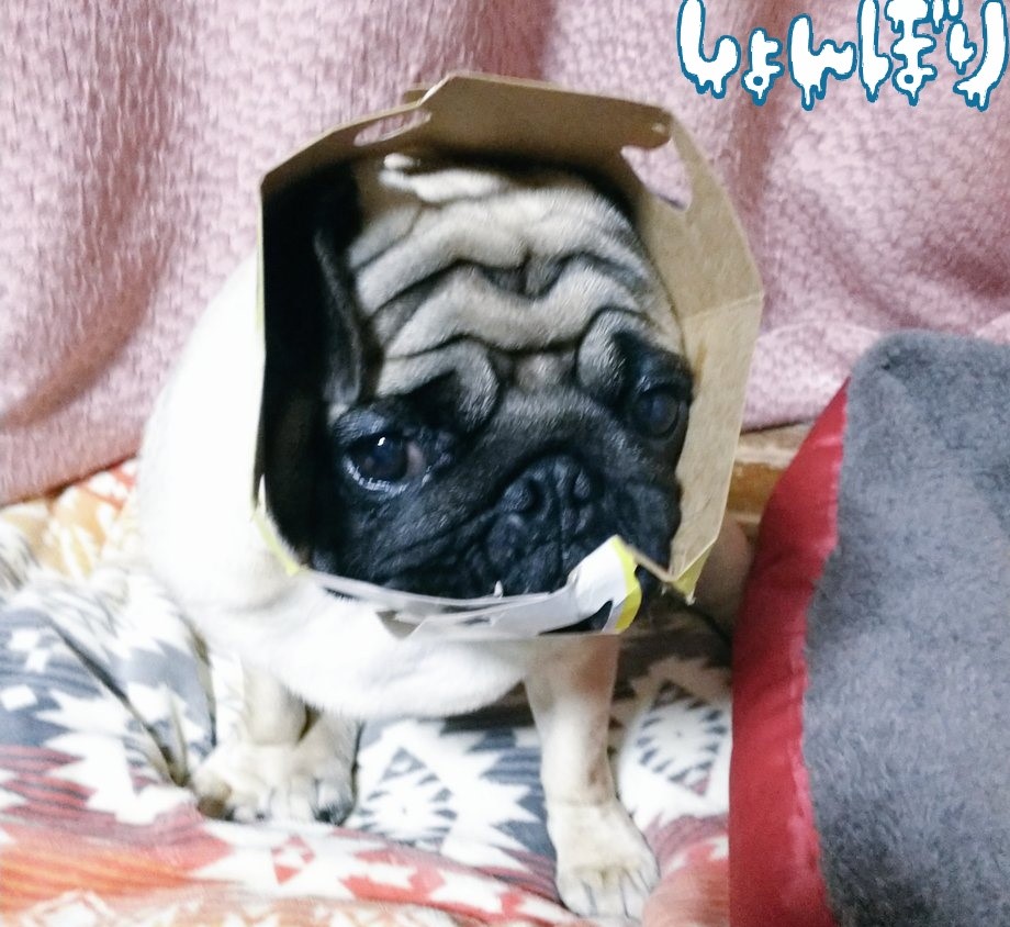 MARU