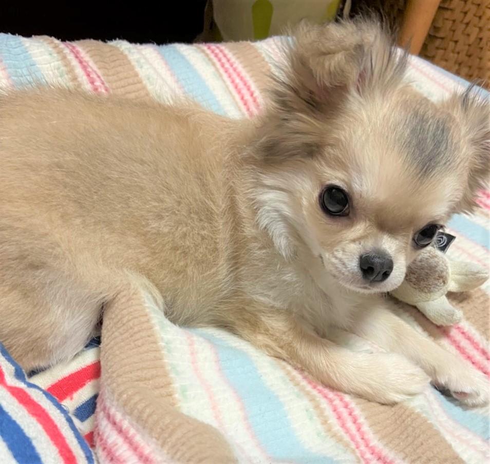 点