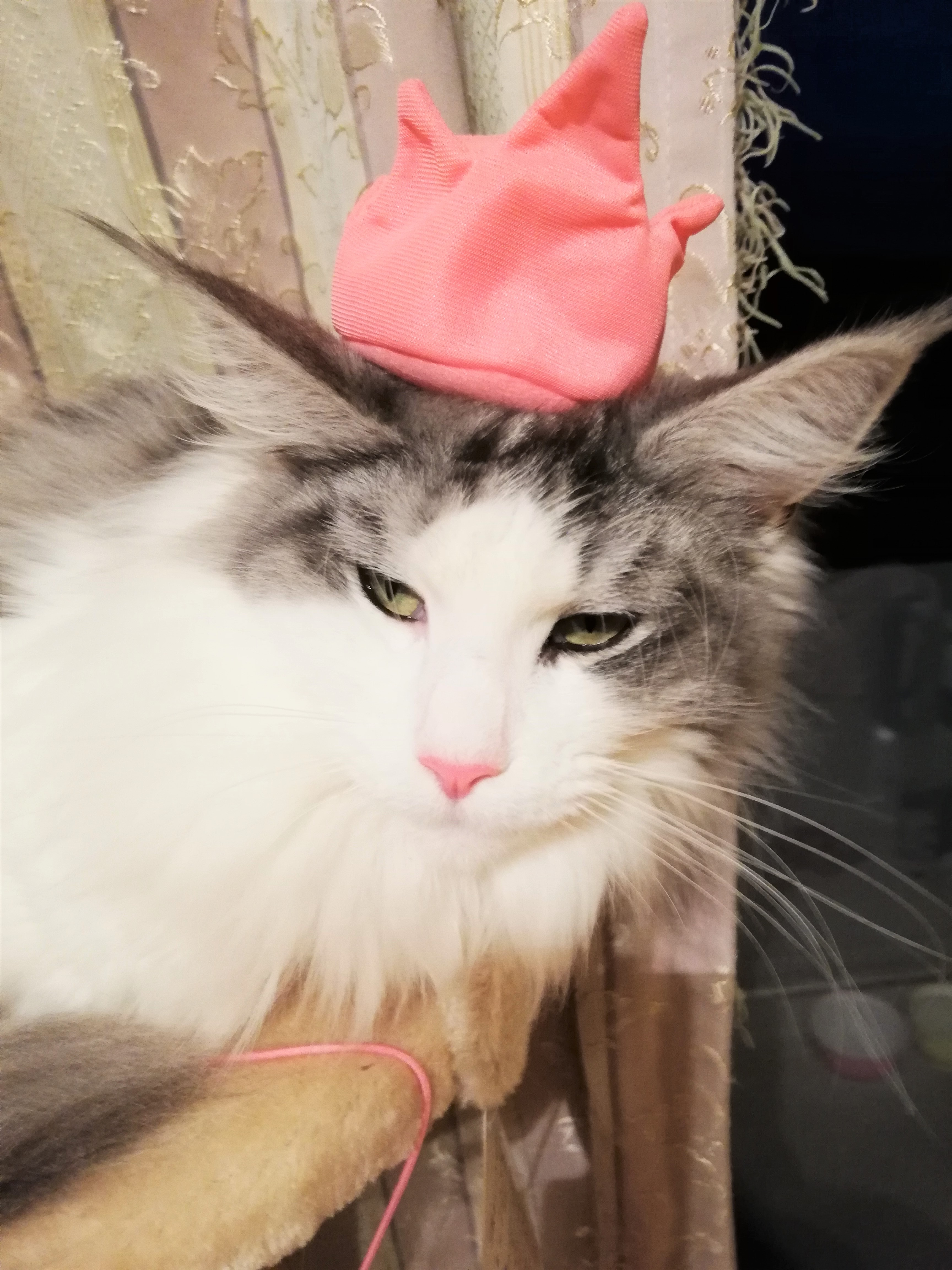 マリリン