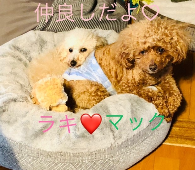 ラキ