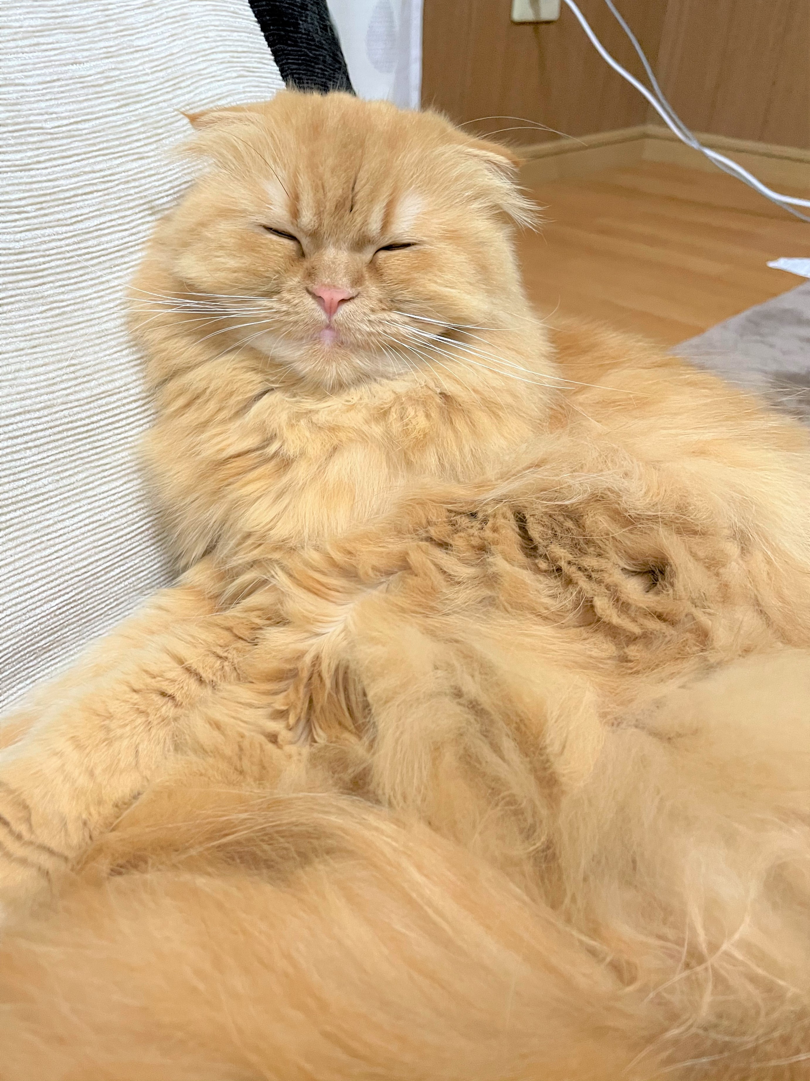 びび
