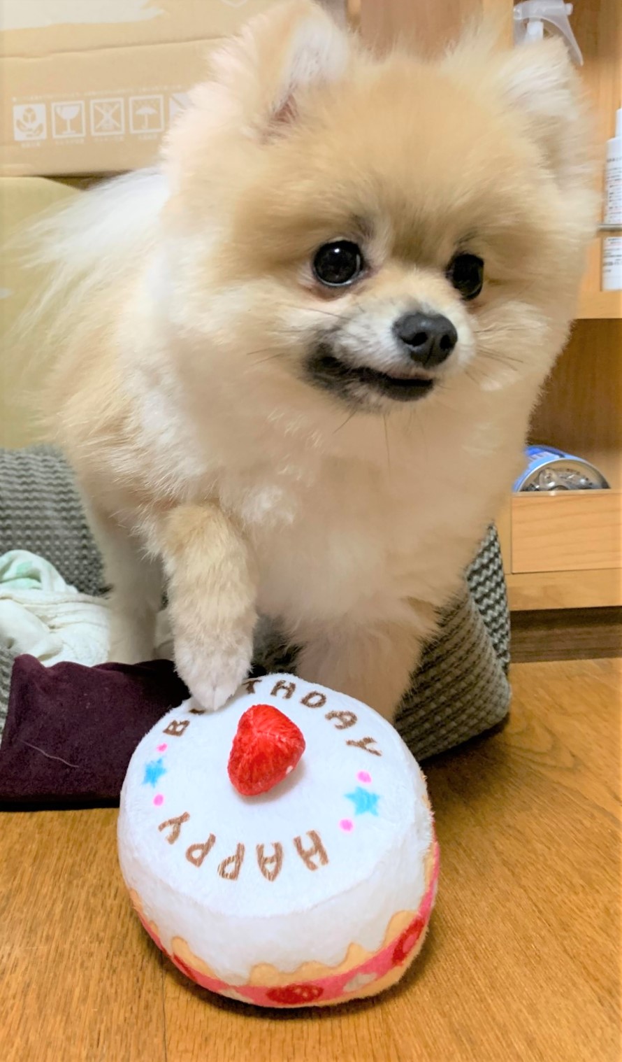 ごじ